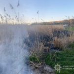 На Одещині через спалювання сміття ледь не виникла масштабна пожежа