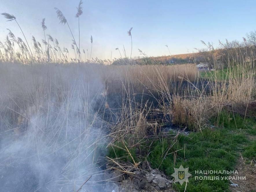На Одещині через спалювання сміття ледь не виникла масштабна пожежа