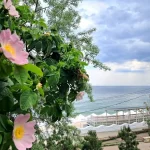 У завершальний день весни в Одесі та області прогнозують сильні дощі й грози