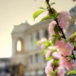 В Одесі нічний дощ поступиться місцем потеплінню
