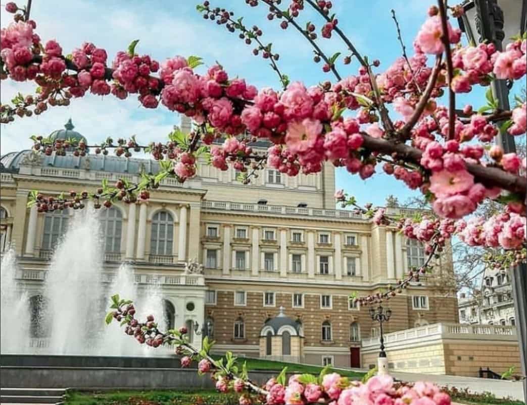 Навесні в Одесі — без опадів і приємне тепло