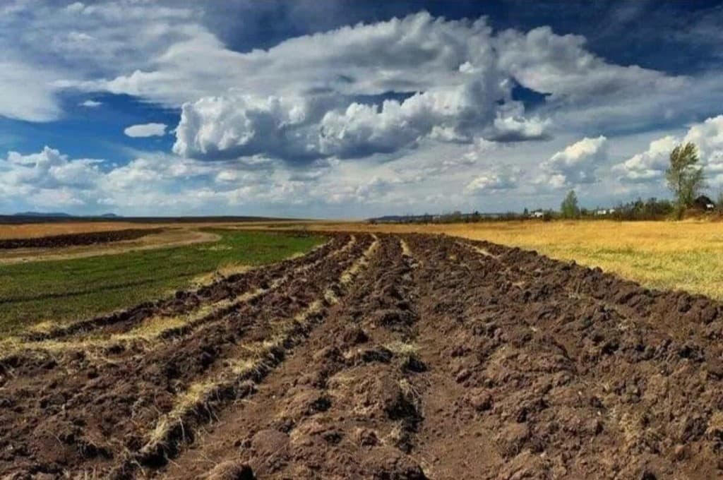 Одна з найдоступніших у країні земельних ділянок — на Одещині