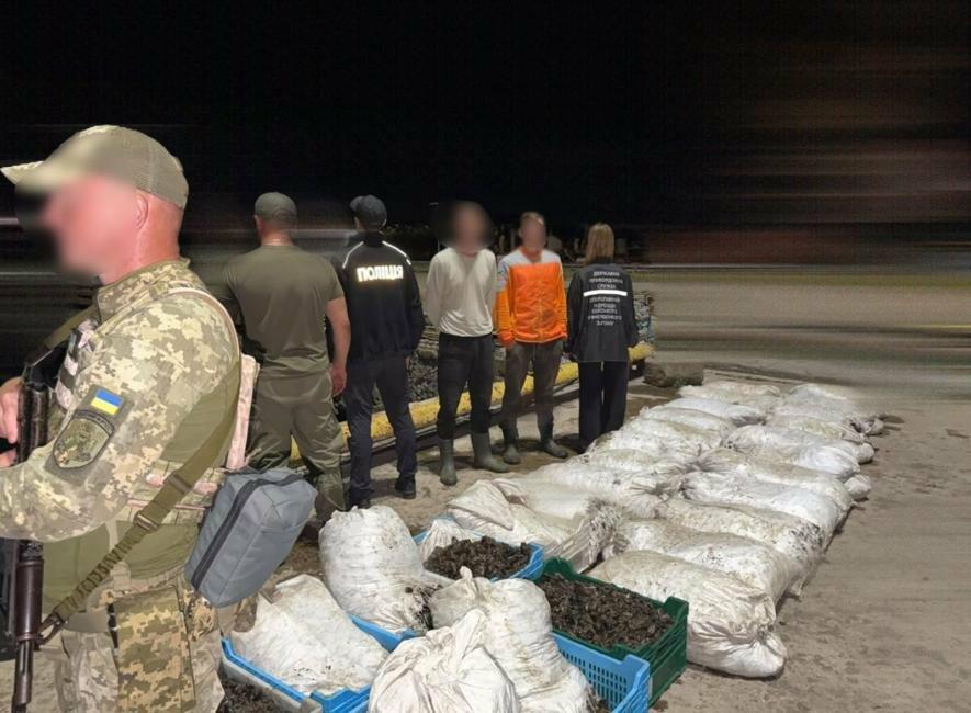 В Одеській області викрили браконьєрів із партією 62 тисячі мідій