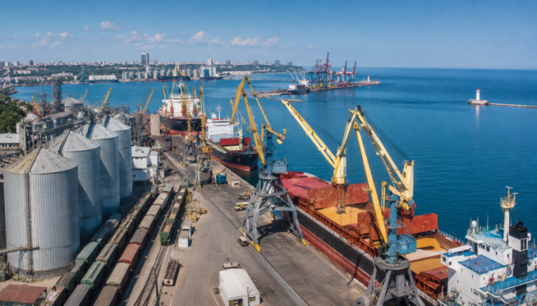 Українські порти з початку року обробили 40 млн тонн вантажів — половина становить агропродукцію