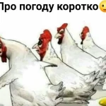 Одеса жартує: море нині — не розкіш, а нагальна потреба