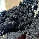 На одеському узбережжі Чорного моря під шаром піску виявили небезпечну знахідку — ФОТО