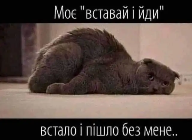 Одеський гумор: усміхаємось, поки світ котиться в тартарари