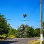 Лелеки щовесни повертаються, а село спорожніло: будні Бочманівки на Одещині