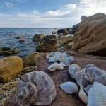 Літо настало, а море в Одесі на 1 червня досі холодне