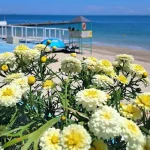 8 червня в Одесі очікують до +25°C та високу пожежну небезпеку