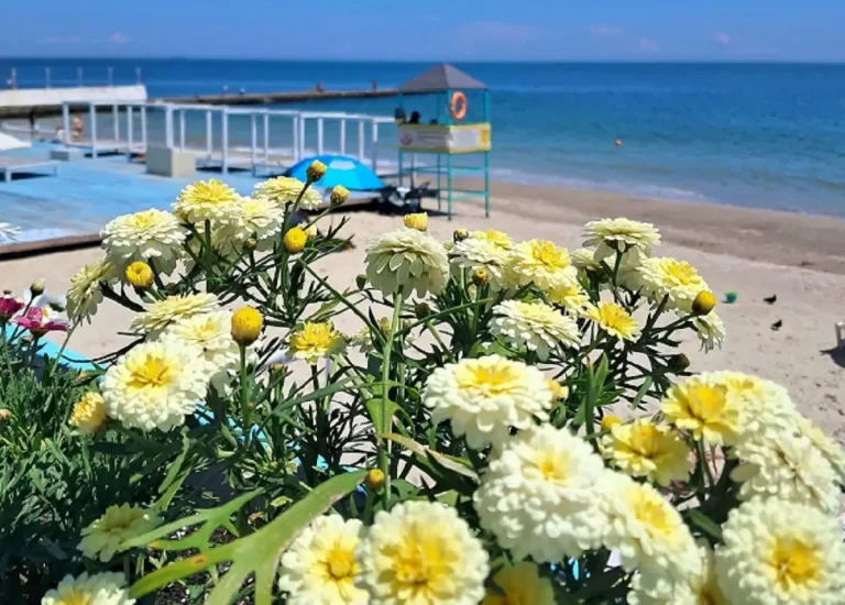 8 червня в Одесі очікують до +25°C та високу пожежну небезпеку
