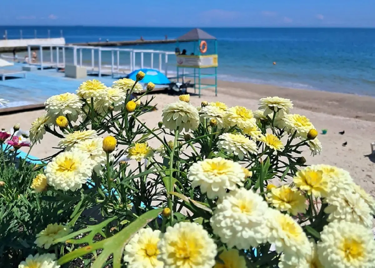 8 червня в Одесі очікують до +25°C та високу пожежну небезпеку