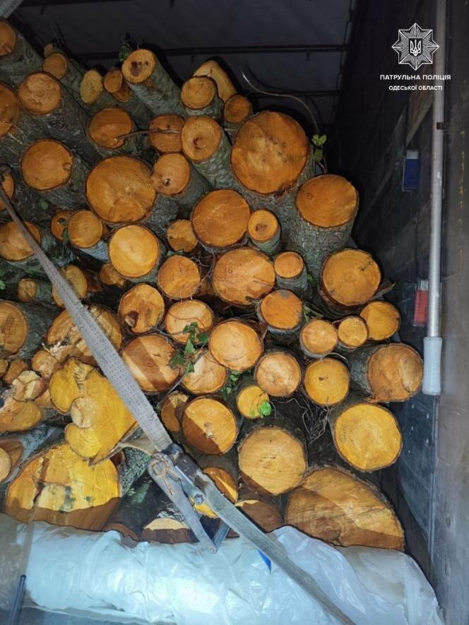 На Одещині зупинили вантажівку, яка перевозила деревину без документів