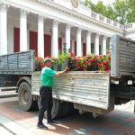 Де в Одесі вже встановили підвісні квіткові вази для озеленення