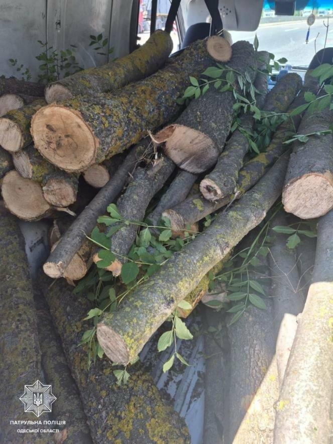 На трасі Київ — Одеса затримали автомобіль із нелегальною деревиною