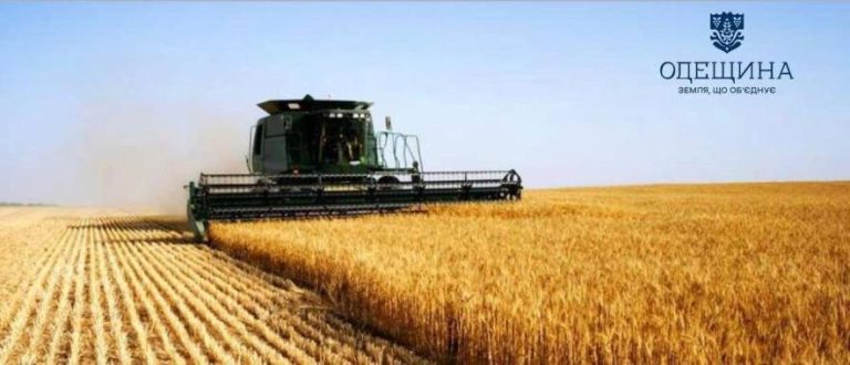 На Одещині розпочалися жнива — аграрії вже збирають перші врожаї