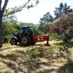 В Одесі ліквідували 353 пні й запускають масштабну програму озеленення