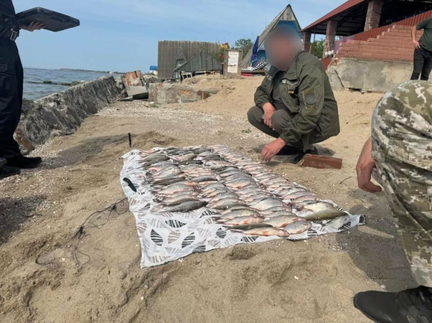У Одеській області виявили браконьєрський вилов вартістю понад 200 тисяч гривень — ФОТО