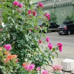 Одесу залиє гроза, однак уже завтра повітря прогріється до +29°C