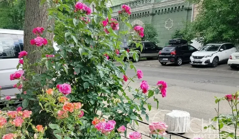 Одесу залиє гроза, однак уже завтра повітря прогріється до +29°C