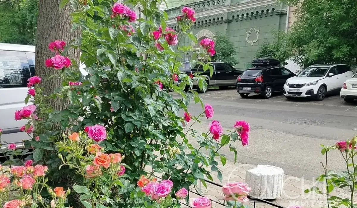 Одесу залиє гроза, однак уже завтра повітря прогріється до +29°C