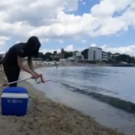 Під Одесою у Чорному морі перевірили повідомлення про можливий небезпечний витік — що виявила термінова перевірка, ВІДЕО