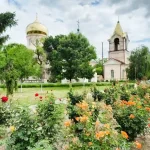 Болгарські троянди прикрасили центр Рені на Одещині: звідки вони зʼявилися (фото)