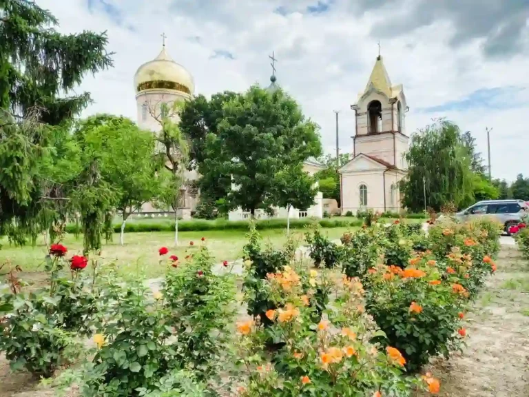 Болгарські троянди прикрасили центр Рені на Одещині: звідки вони зʼявилися (фото)