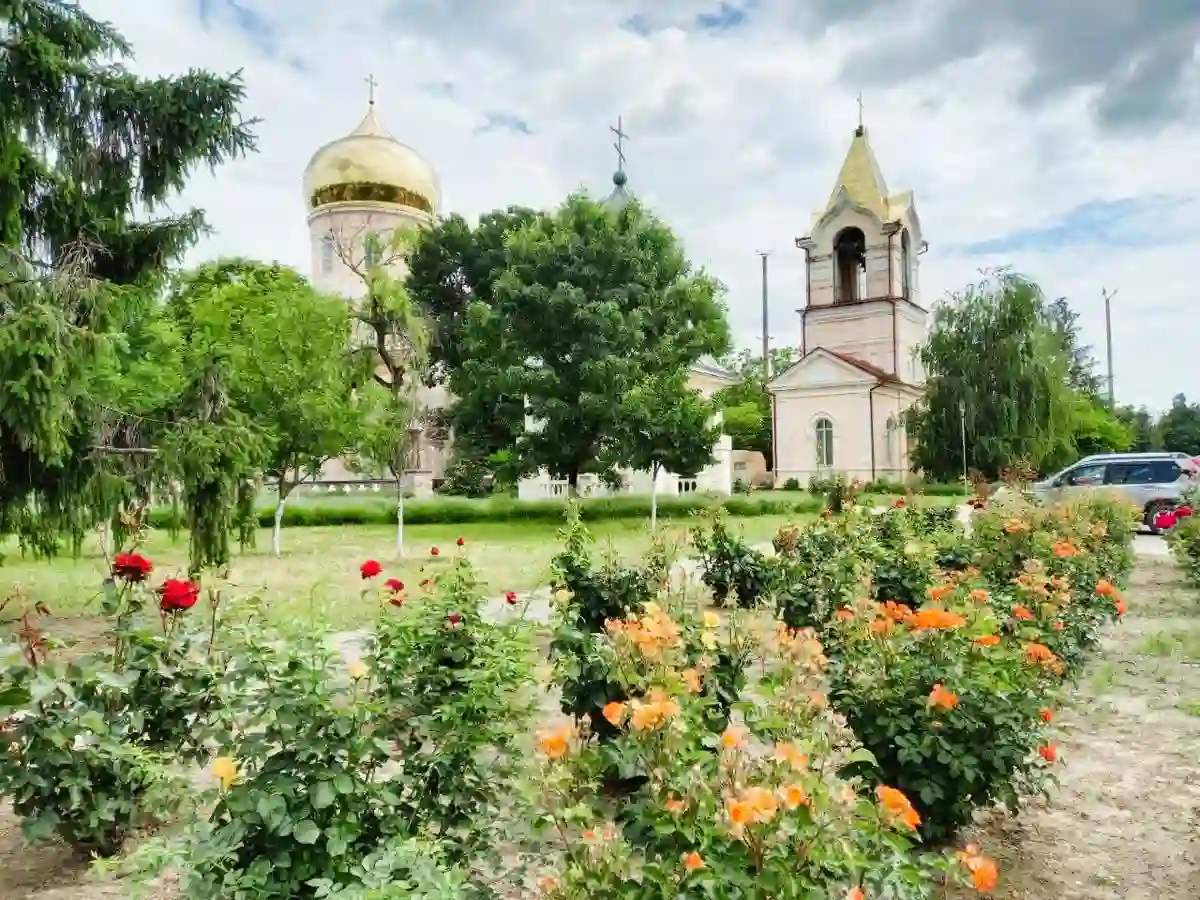 Болгарські троянди прикрасили центр Рені на Одещині: звідки вони зʼявилися (фото)