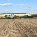 Директора фермерського господарства в Одеській області судитимуть за самовільне зайняття 119 гектарів землі