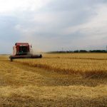 Одещина відкрила жнива-2026: перші збори та очікування щодо врожаю