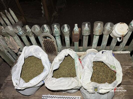 На Одещині поліція виявила наркоплантацію з 150 кущів вартістю майже 3 млн
