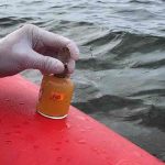 В Одесі перевірили якість морської води — де безпечно купатися