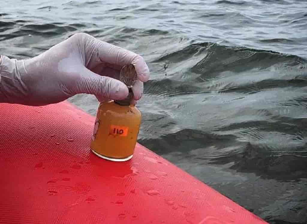 В Одесі перевірили якість морської води — де безпечно купатися