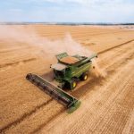 Одещина очолила Україну за масштабом збору — понад 1,5 млн тонн нового зерна