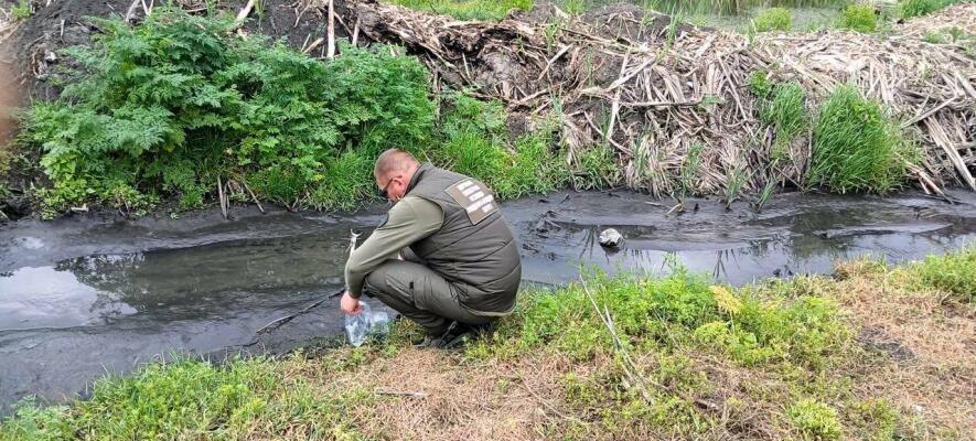 На Одещині виявили критичне забруднення ґрунтів — окремі показники перевищують норму в 35 разів