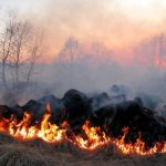 За підпал сміття одеситку зобов’язали відшкодувати 97 мільйонів