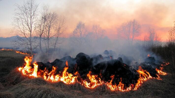 За підпал сміття одеситку зобов’язали відшкодувати 97 мільйонів