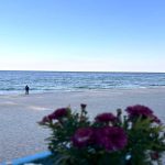 29 липня в Одесі: прогноз температури морської води від синоптиків