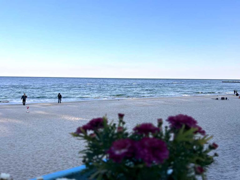 29 липня в Одесі: прогноз температури морської води від синоптиків