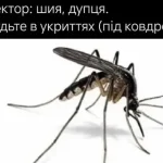 Одеса жартує: поки ви шукаєте тінь, комарі вже знайшли вас