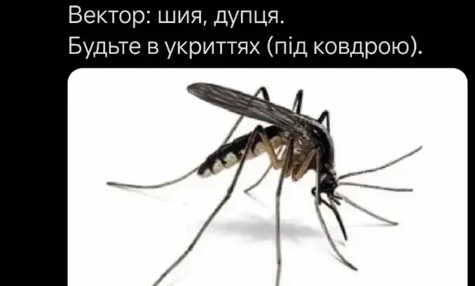 Одеса жартує: поки ви шукаєте тінь, комарі вже знайшли вас