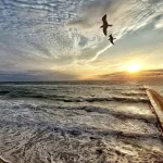 Біля Одеси Чорне море досі прохолодне — актуальні показники температури води
