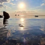 Пляжний сезон під загрозою — яка буде температура моря біля Одеси 11 липня