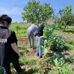 На Одещині виявили рекордну партію наркотиків: правоохоронці вилучили масштабний арсенал заборонених речовин (ФОТО)