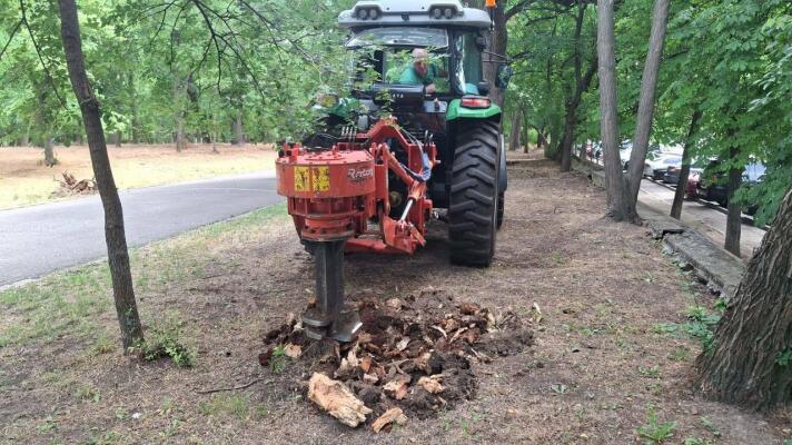 В Одесі розчищають території під нові дерева: скільки пнів прибрали від початку року