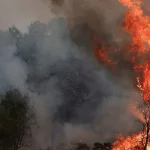 В Одесі засудили жінку за підпал сміття на 97 мільйонів та спричинення екокатастрофи