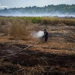 У Одесі накрив дим — рятувальники ліквідують наслідки масштабної пожежі