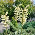 Спека знову наближається — прогноз погоди в Одесі на 17 липня