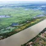 На Одещині рівень Дунаю опустився до найнижчого за 55 років